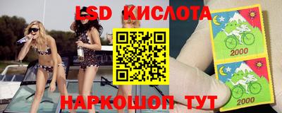 спайс Новодвинск