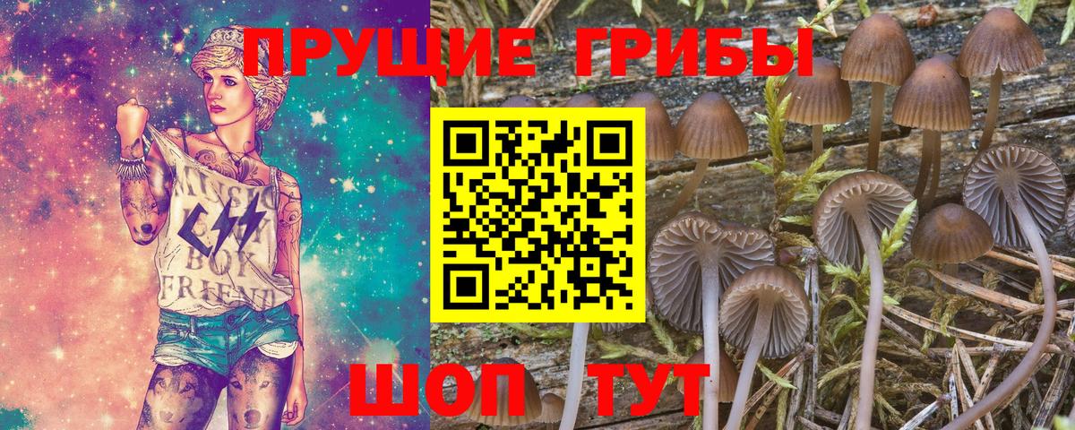 Стрежевой  Псилоцибиновые грибы ЛСД  Вход с VPN 