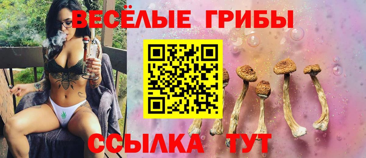 Галлюциногенные грибы Psilocybe Стрежевой